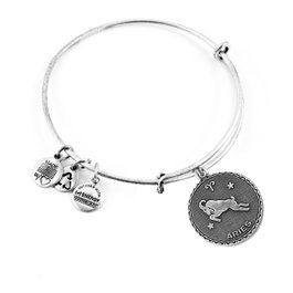 Alex And Ani Pulsera Aries Gris de Metal