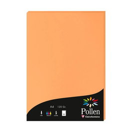 Papel Clairefontaine Pollen A4 120G 50H Clementina