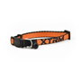 Nayeco Collar Gato X-TRM Neon Flash Naranja