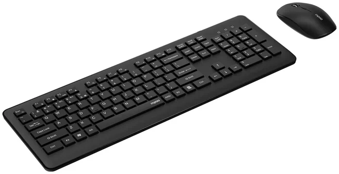 Rapoo 8310M Negro Teclado y Ratón Inalámbricos Multimodo (Layout Polaco)