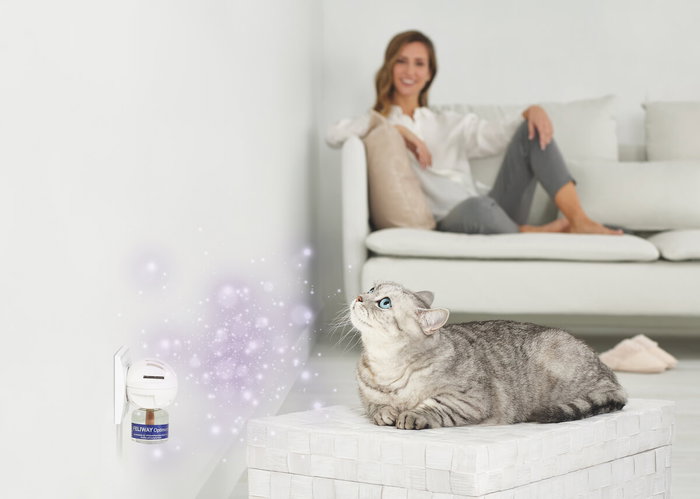 Ceva FELIWAY Optimum Pack de 3 Recambios