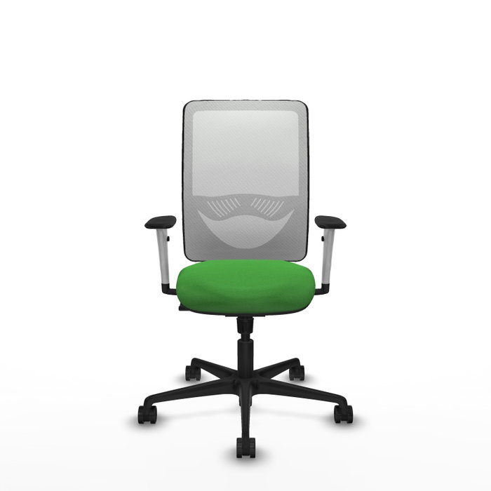 PIQUERAS Y CRESPO Silla de oficina Zulema con mecanismo Sincro, Verde y Blanco PIQUERAS Y CRESPO Silla de oficina Zulema con mecanismo Sincro, Verde y Blanco