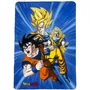Dragon Ball Cuadros Decorativos 100 x 140 cm