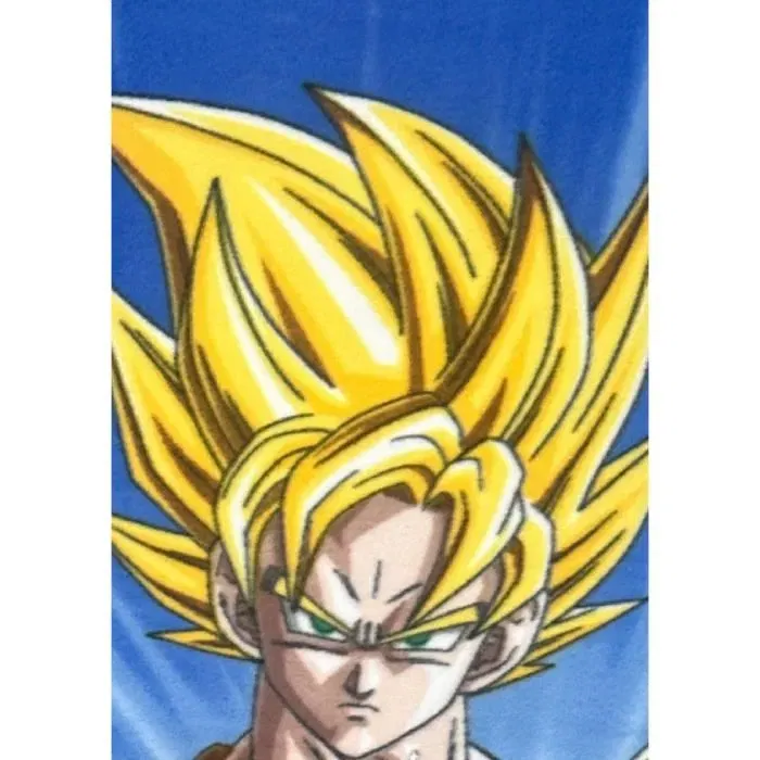 Dragon Ball Cuadros Decorativos 100 x 140 cm