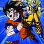 Dragon Ball Cuadros Decorativos 100 x 140 cm