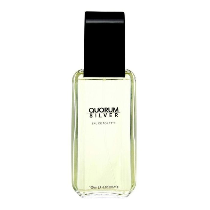 Antonio Puig Quorum Silver Eau De Toilette 100ml Antonio Puig Quorum Silver Eau De Toilette 100ml