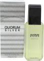 Antonio Puig Quorum Silver Eau De Toilette 100 ml Antonio Puig Quorum Silver Eau De Toilette 100 ml