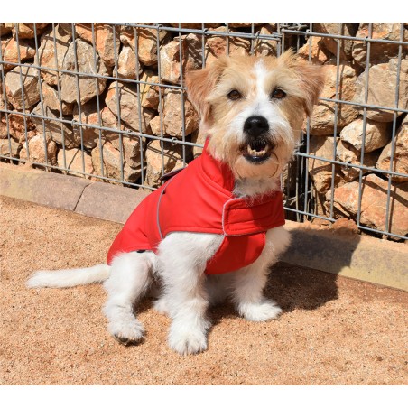 Nayeco Impermeable para Perro Dancing Rain Cerrado Rojo 20 cm, Ropa para Mascotas Resistente al Agua para Paseos Seguros en Días de Lluvia