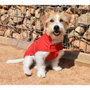 Nayeco Impermeable para Perro Dancing Rain Cerrado Rojo 20 cm, Ropa para Mascotas Resistente al Agua para Paseos Seguros en Días de Lluvia