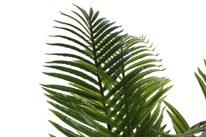 DKD Home Decor Planta Palmera Areca Verde 50x50x172 cm