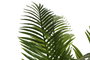 DKD Home Decor Planta Palmera Areca Verde 50x50x172 cm