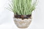 DKD Home Decor Planta de Hortensia de PVC y Porcelana 20x20x78 cm (Surtido de 2 unidades)