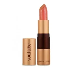 SOULTREE Barra de Labios Ecológica 5 817 Cantaloupe 4 Gr - 100% Natural, Hidratante, Hecho a Mano, Sin Plomo Ni Carmín
