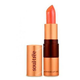 SOULTREE Barra de Labios 5 817 Cantaloupe 4 Gr