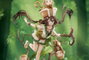 APEX Estatua The Legend of Sword and Fairy Anu Shen Mu Miao Ying Ver. 1/7