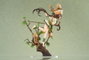 APEX Estatua The Legend of Sword and Fairy Anu Shen Mu Miao Ying Ver. 1/7