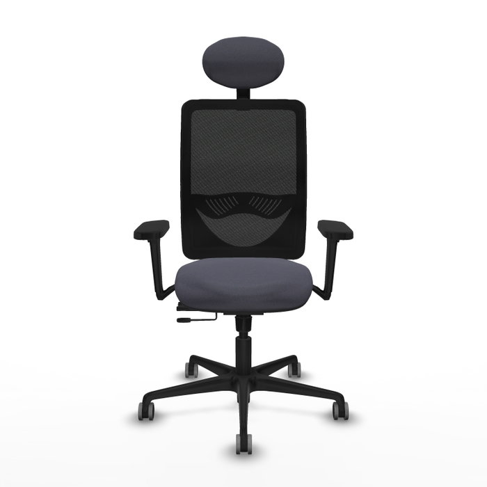 PIQUERAS Y CRESPO Silla de Oficina Zulema con Mecanismo Sincro/Traslack, Brazos 3D y Cabecero Fijo PIQUERAS Y CRESPO Silla de Oficina Zulema con Mecanismo Sincro/Traslack, Brazos 3D y Cabecero Fijo