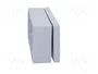 FIBOX EURONORD Carcasa Universal Gris