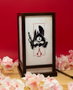 Neamedia Icons Assassin's Creed Shadows Lámpara LED Lantern 25 cm