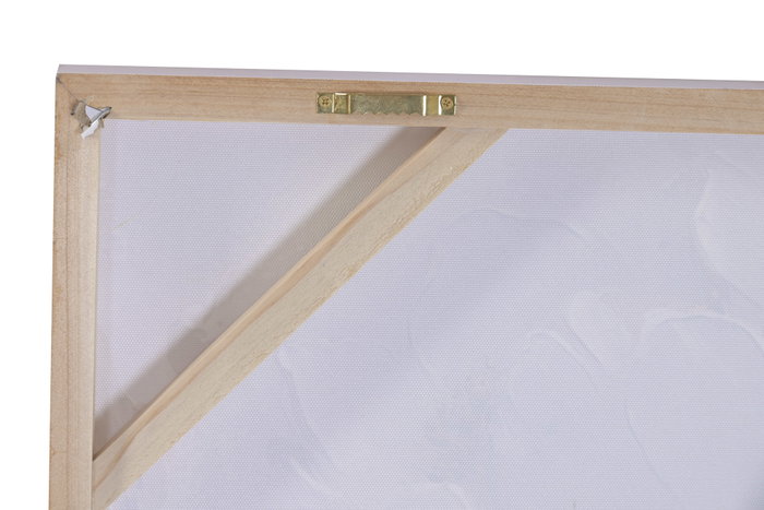 DKD Home Decor Cuadro Lienzo MDF 100x3x70 Flores Surtido de 2
