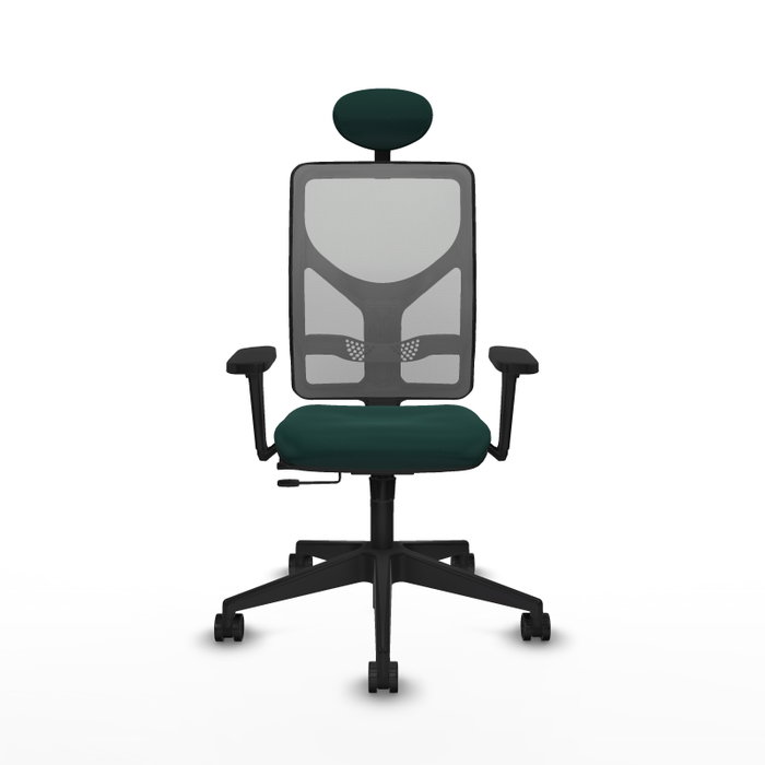 PIQUERAS Y CRESPO Silla de oficina Motilla con mecanismo Sincro/Traslack, Verde botella y Gris PIQUERAS Y CRESPO Silla de oficina Motilla con mecanismo Sincro/Traslack, Verde botella y Gris