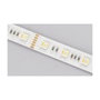 Synergy21 Synergy 21 LED Flex Strip 5050 - 84 RGB DC24V + RGB-WW (RGB-CCT) one chip HD IP20