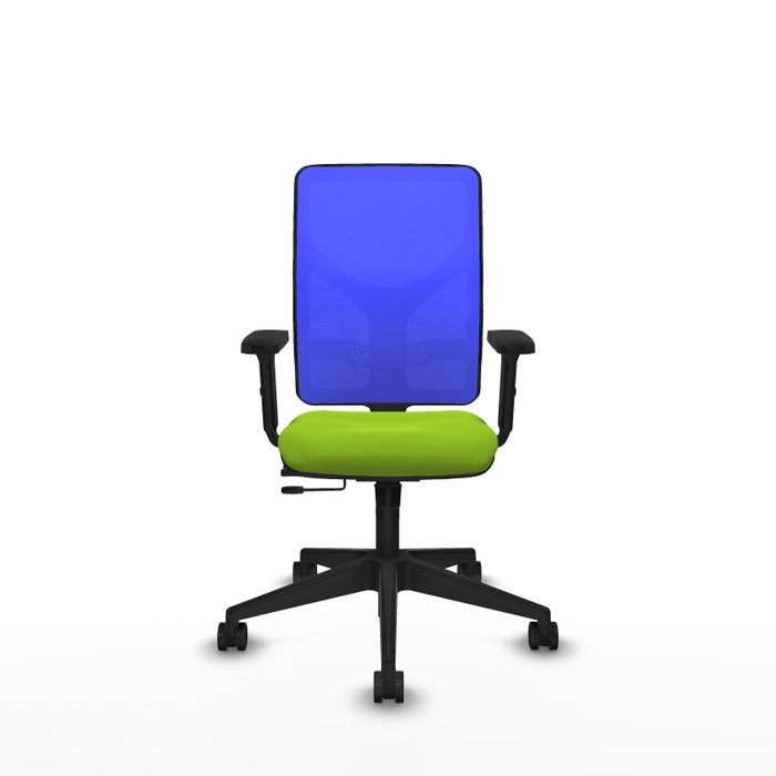 PIQUERAS Y CRESPO Silla de oficina Motilla con mecanismo Sincro/Traslack, Pistacho y Azul