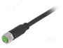 MURRELEKTRONIK Cable para sensores M8 hembra recto 10m