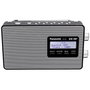 Panasonic RF-D10 EG-K Negro