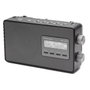 Panasonic RF-D10 EG-K Negro
