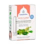ESENTIAL AROMS PHYTO-V PROTECT 5ml + 2 sticks inhaladores