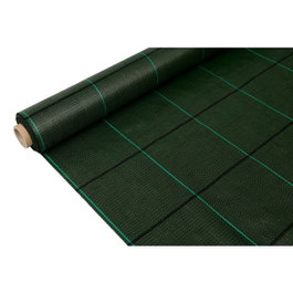 Faura Malla antihierba verde 1 x 10 m 100 g/m²