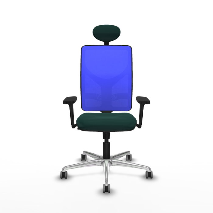 PIQUERAS Y CRESPO Silla de oficina Motilla con mecanismo Sincro, Verde botella y Azul PIQUERAS Y CRESPO Silla de oficina Motilla con mecanismo Sincro, Verde botella y Azul