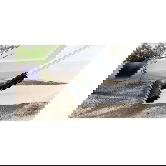 Bosch Serie | 6 ProHygienic BGC41XHYG - Aspiradora cilíndrica sin bolsa, 700W, filtro higiénico, 2.4L, para suelo duro