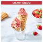 Magimix Gelato Expert Eismaschine