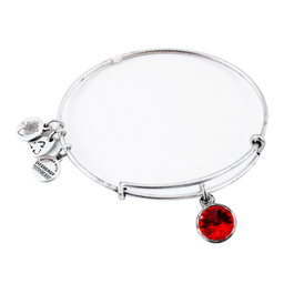 Alex And Ani Pulsera de Metal Rojo Brillante Ajustable A12EB246RS