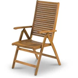 Fieldmann FDZN 4101-T Silla Ajustable - Modelo FIE8590669199945