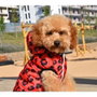Nayeco Chaqueta Con Capucha Red Leopard Estampado Animal Print Borreguito Interior Repelente Agua Ojal Correa 50 cm