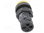 SCHNEIDER ELECTRIC Interruptor de presión Harmony XB7 22mm Amarillo LED 24V