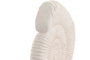 DKD Home Decor Decoración de Caracola en Cemento y Metal Blanco
