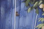 DKD Home Decor Cuadro Lienzo MDF 60x3x80 Limones Puerta Surtido de 2