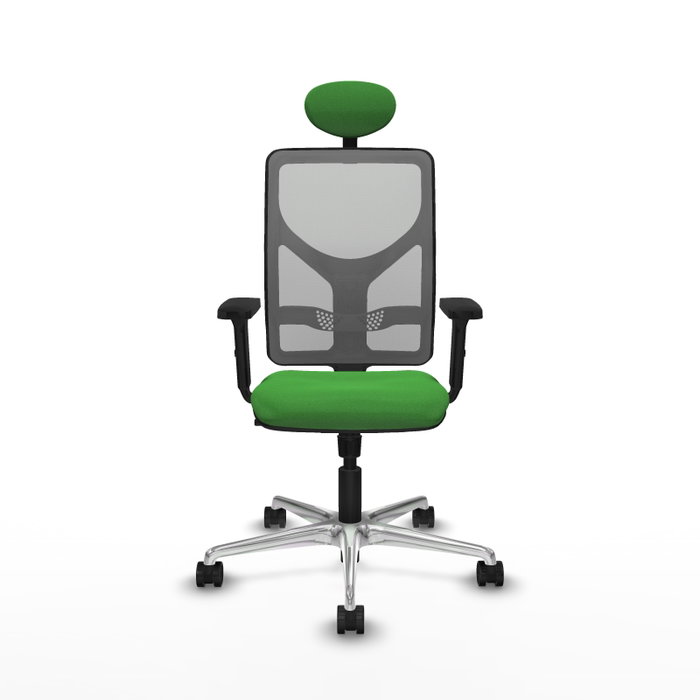 PIQUERAS Y CRESPO Silla de oficina Motilla con Mecanismo Sincro Verde y Gris PIQUERAS Y CRESPO Silla de oficina Motilla con Mecanismo Sincro Verde y Gris