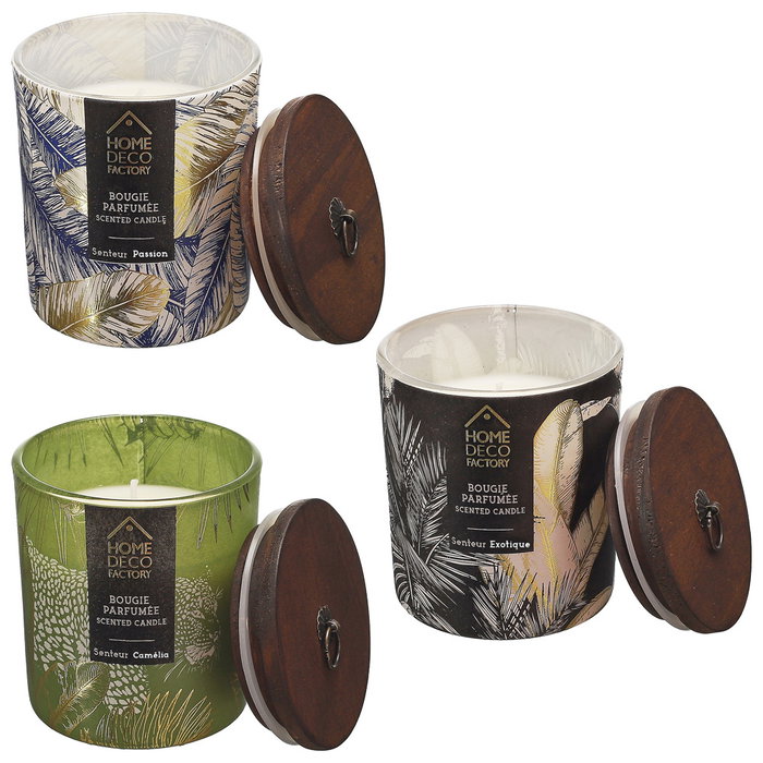 Home Deco Factory Vela Perfumada Wild Colección Natural Wild, Aroma Surtido (Camelia/Exotique/Passion) con Tapa de Madera, 130g, Duración 18h, 8.5cm de Altura