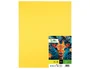 Liderpapel Cartulina Amarillo limón 50x65 cm 180g/m2 (25 hojas)