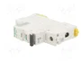 SCHNEIDER ELECTRIC iC60L Interruptor magnetotérmico 1 Polo 6A 15kA
