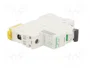 SCHNEIDER ELECTRIC iC60L Interruptor magnetotérmico 1 Polo 6A 15kA