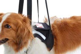Kruuse Arnés Elevador Patas Delanteras Talla M para Perros con Movilidad Reducida
