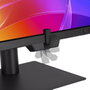 Asus ProArt PA32USD Monitor 31.5 pulg. 4K Ultra HD QD-OLED Negro