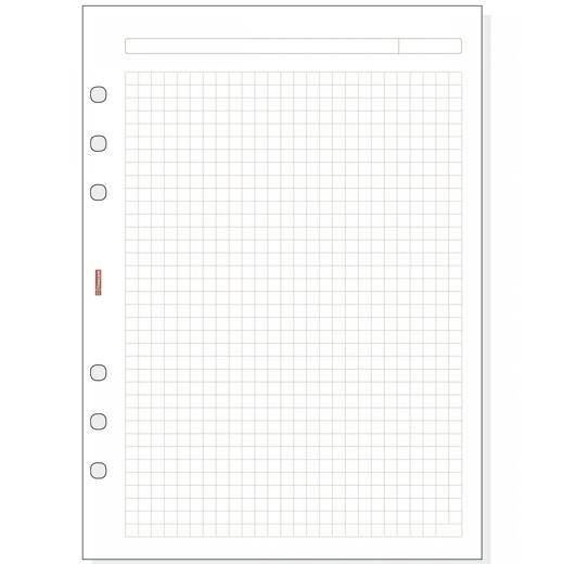 Finocam Recambio Agenda Anillas Open R1040 155x215mm 50h Cuadrícula Blanco Finocam Recambio Agenda Anillas Open R1040 155x215mm 50h Cuadrícula Blanco