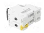 SCHNEIDER ELECTRIC Interruptor magnetotérmico ACTI9 C60H-DC 2A 2 polos